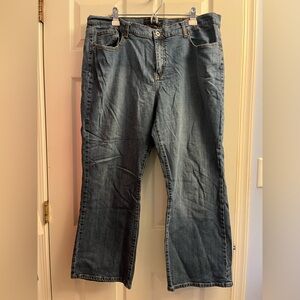 Venezia for Lane Bryant Women’s Blue Denim Jeans 22 Petite